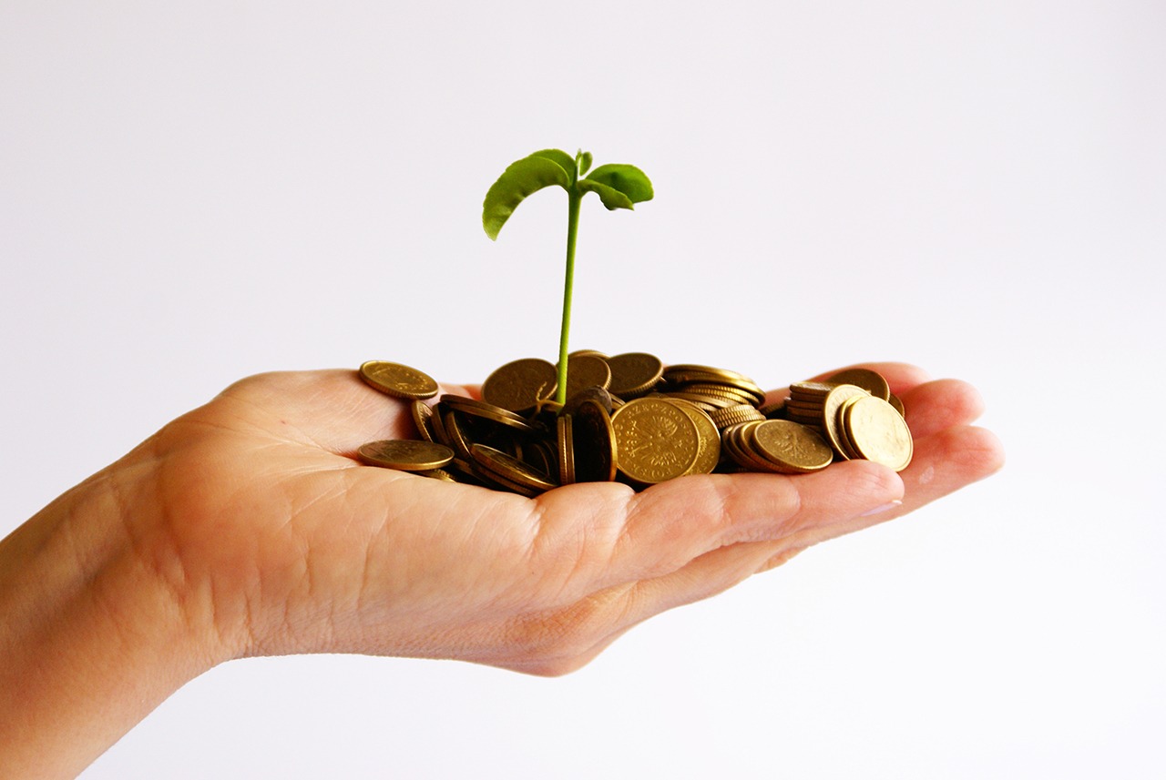 Nos conseils pour un investissement rentable