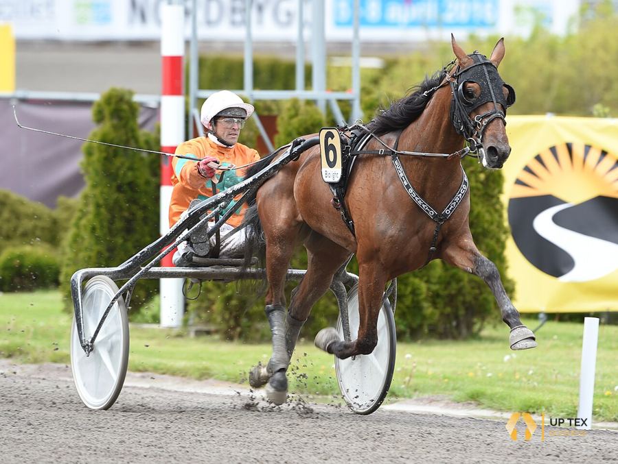 Photo de Éric Raffin (up-tex.fr)